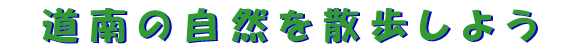 ���͗l